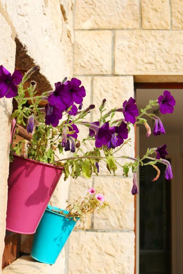 Studio Airport Dubrovnik Čilipi Exteriör bild